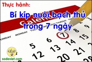 Bạch thủ lô trong 7 ngày Thực hành và kết quả trúng số đạt 80%